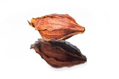 《战舰世界》万圣节活动预告发布 暮光狩猎上线